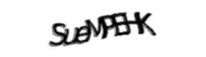 Security check image, please type the characters shown